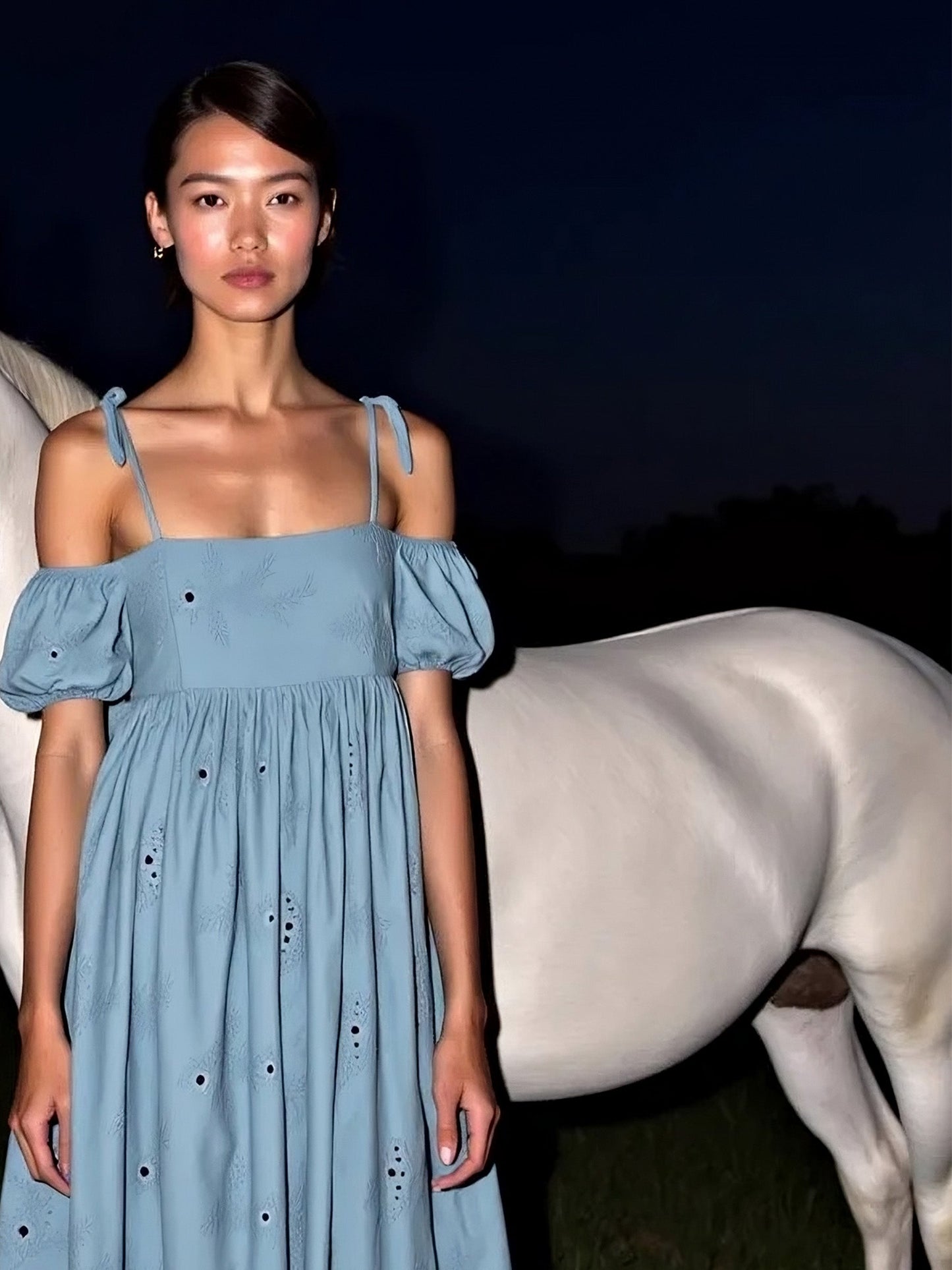 Vera Embroidered Blue Maxi Dress