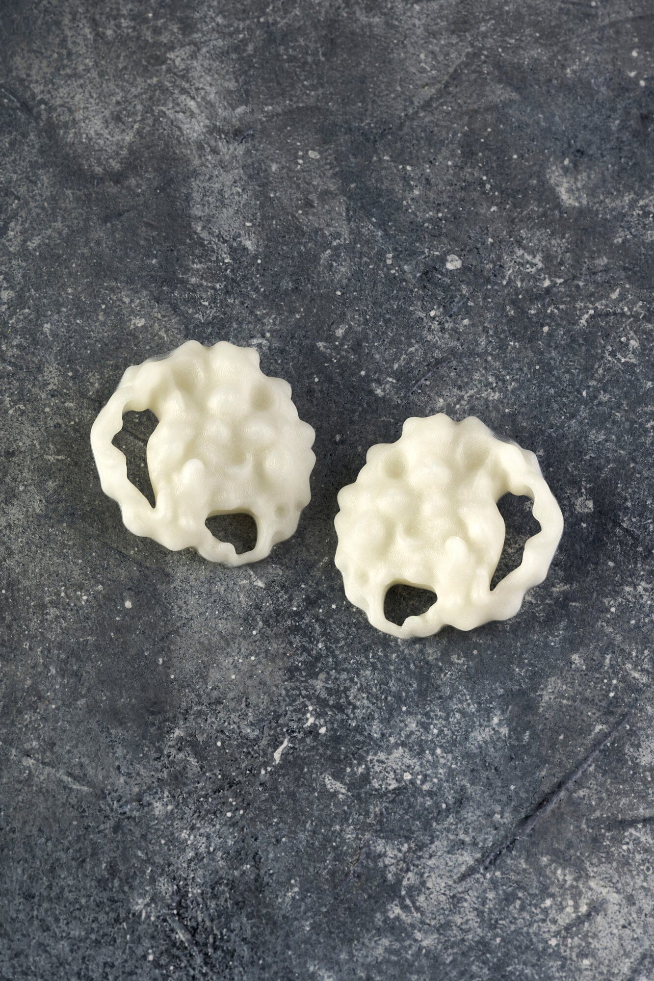 Ardora vieira Earrings Suagongo
