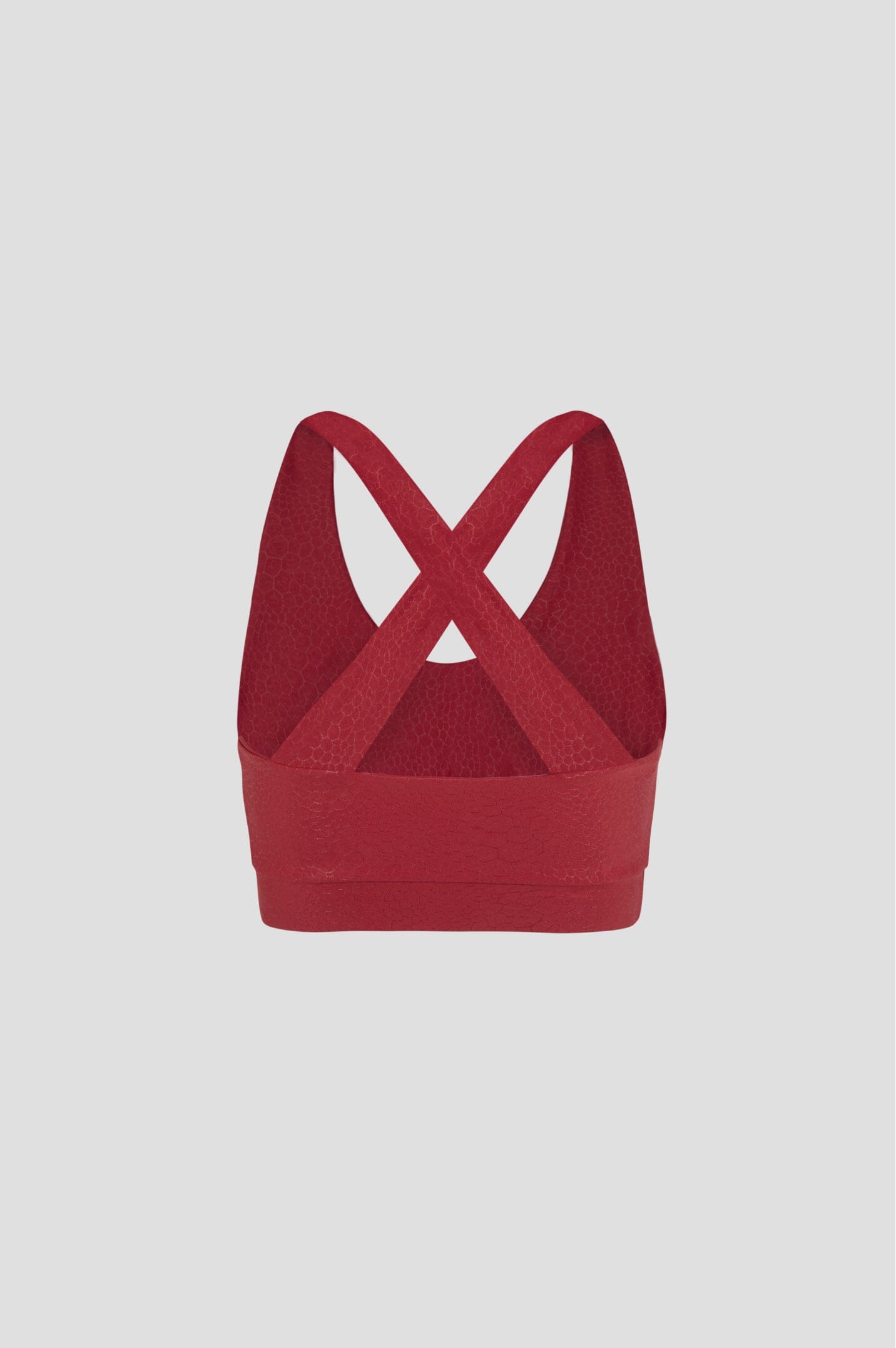 Cherry Red Paw Print Top Sports Bra Bradhy