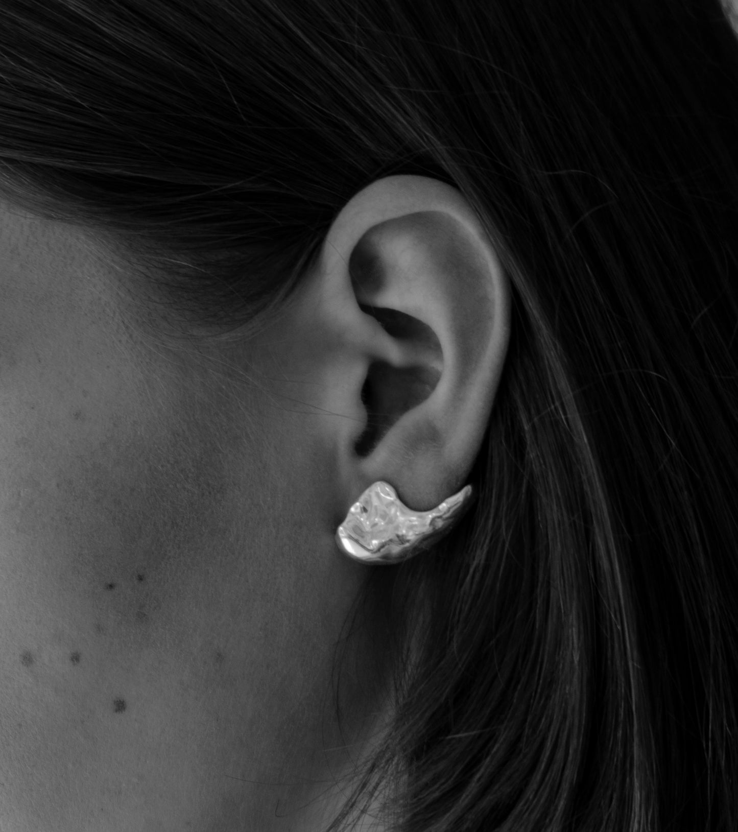 Vice Versa Silver Earnings