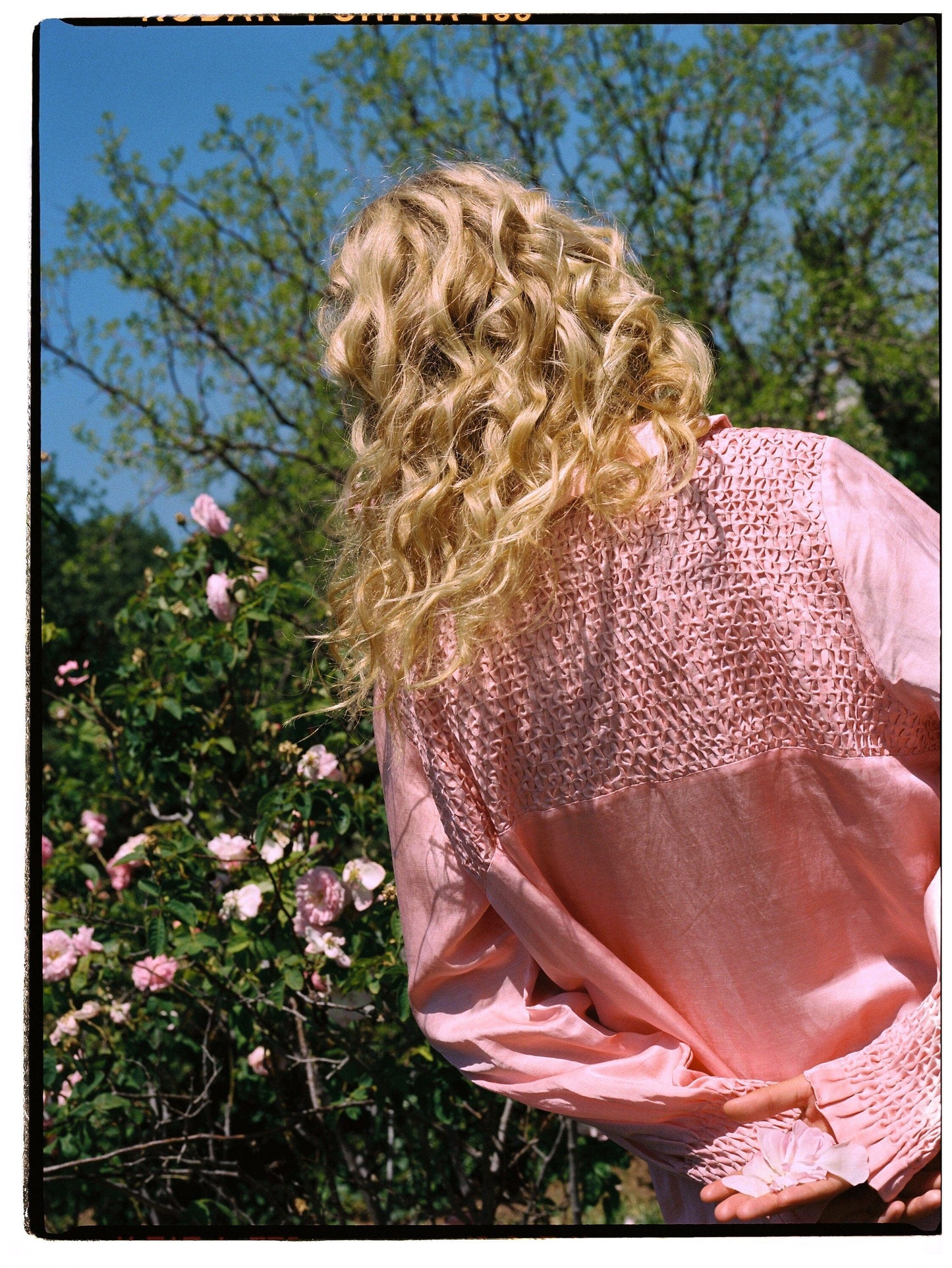 Pink Dress Layla Midi Dress Masha Maria