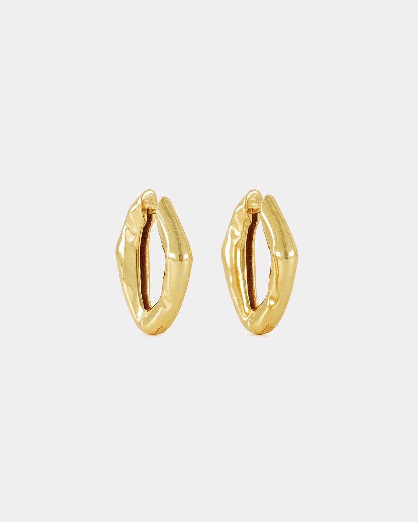 The Hoop Earrings - Gold