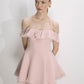 Evie Mini Dress in Tender Peach